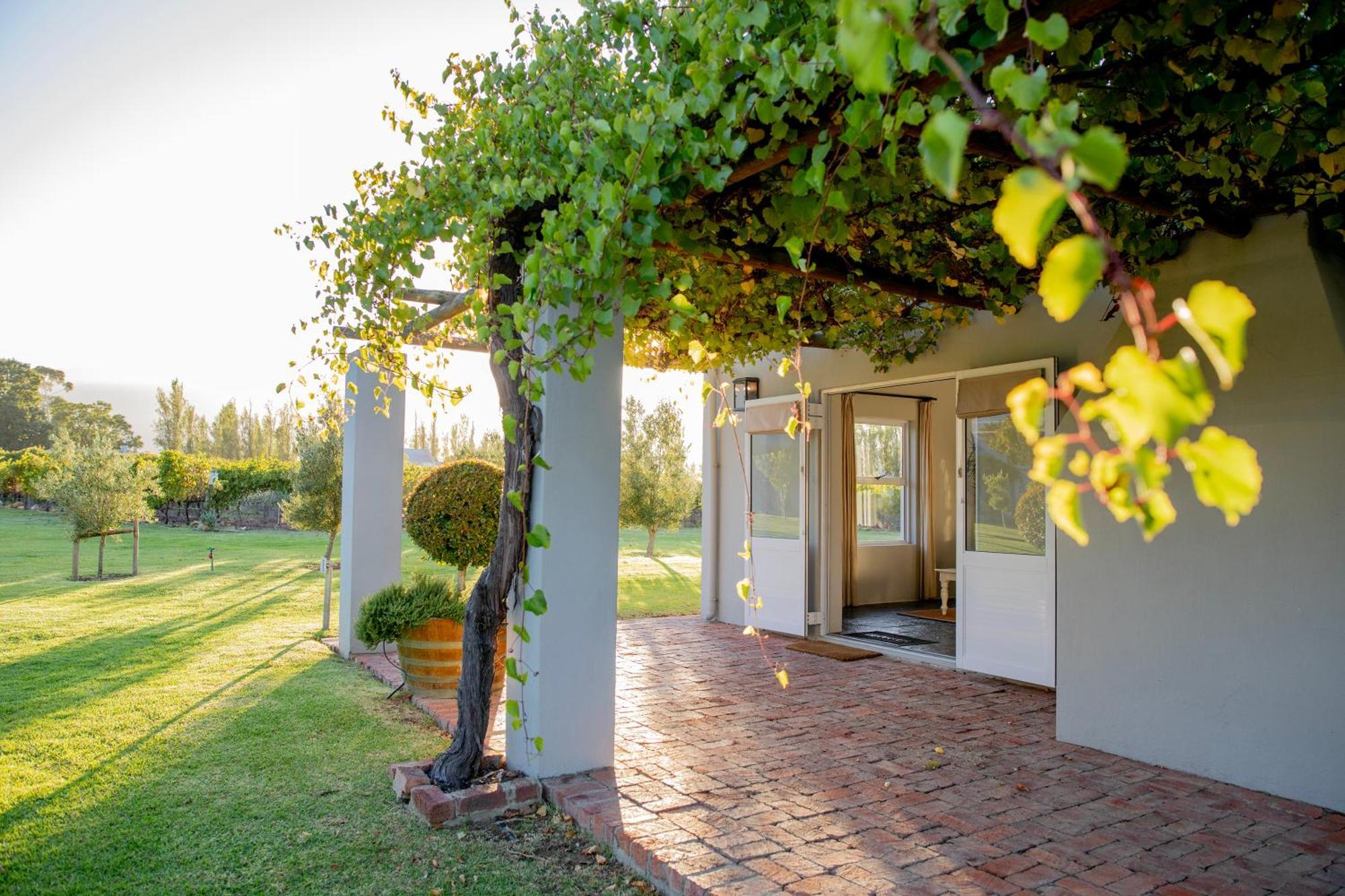 Saronsberg Vineyard Cottages Tulbagh Ngoại thất bức ảnh