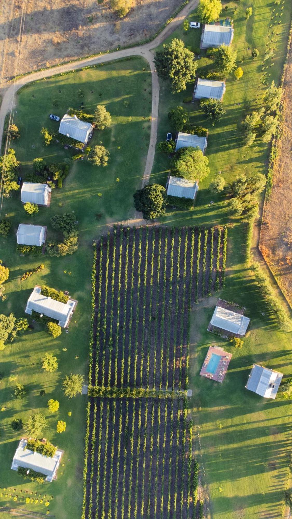 Saronsberg Vineyard Cottages Tulbagh Ngoại thất bức ảnh