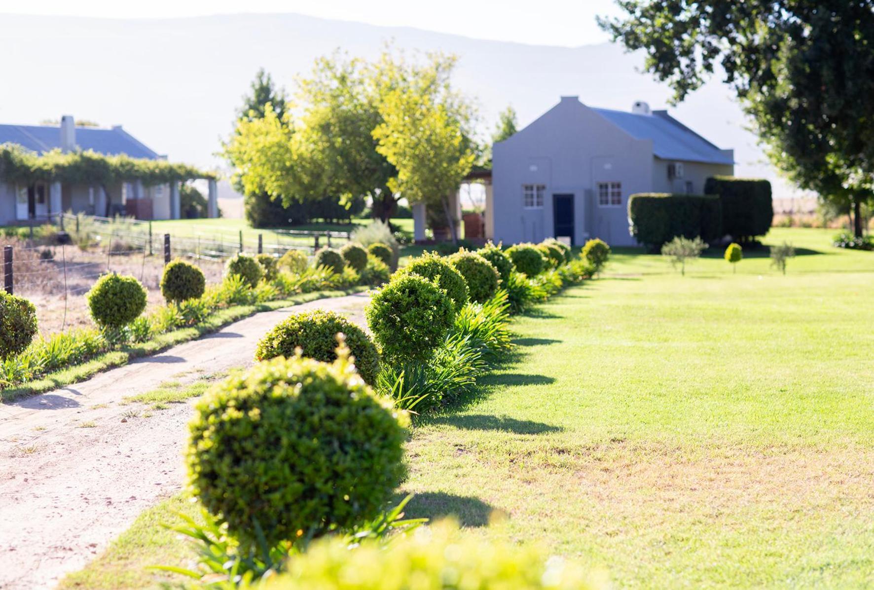 Saronsberg Vineyard Cottages Tulbagh Ngoại thất bức ảnh
